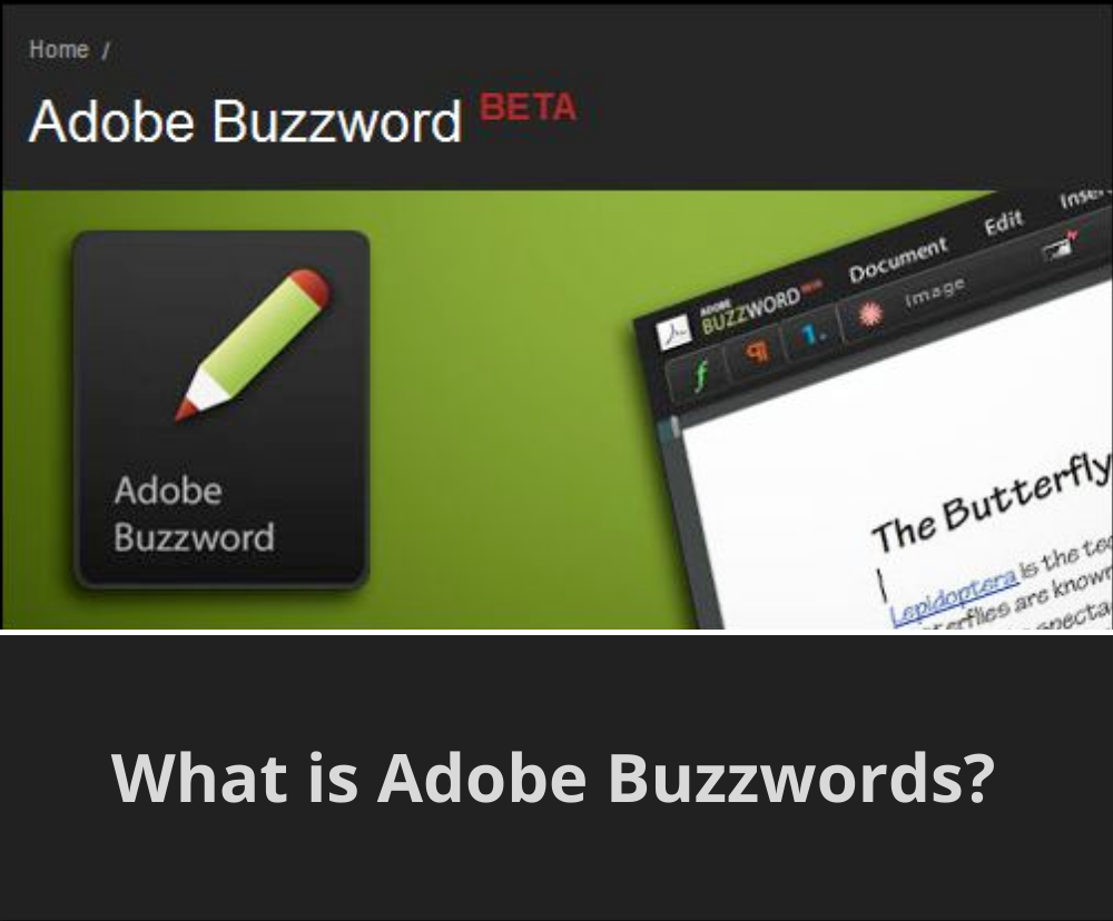 What is Adobe Buzzwords