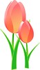 1000 Flower Arrangements