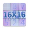 16x16 Sudoku Challenge