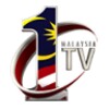 1Malaysia TV