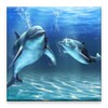 3D dolphin HD live wallpaper