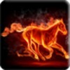3D Flame Live Wallpaper