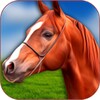 3D Horse Simulator