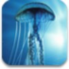 3D Jellyfish HD Live Wallpaper