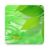 3D Leaves Live Wallpaper