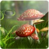 3D Mushroom