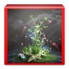 3D Pictures