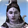 3D Shiv