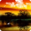 3D Sunrise Sunset Live