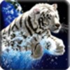 3D Tiger