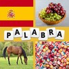 4 Fotos 1 Palabra En Español