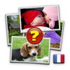 4 Images