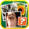 4 Pics 1 Odd