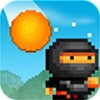 8bitninja