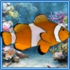 Acquarium Live Wallpaper Pro