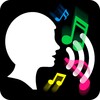 Add Music To Voice