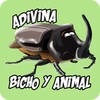Adivina Bicho Y Animal