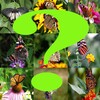 Adivina La Mariposa