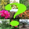 Adivina La Planta
