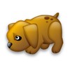 Age Calculator Canine