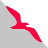 AirArabia