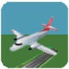 Airport Craziness