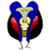 AKA