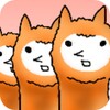 Alpaca