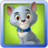 Amazing Pets