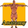 Anatomy 4 Kids