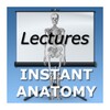 Anatomy Lectures