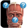 Anatomy Quiz Lite
