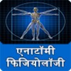 AnatomyPhysiology