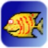 AndroFish