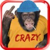 Angry Talking Monkey