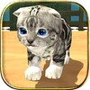 Animal Cat Simulator