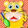 Animal Dentist Office