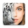 Animal Face Maker
