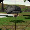 Animal Hunter 3D