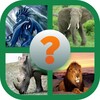 Animal Names