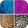 Animal Print Wallpapers