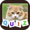 Animal Quiz