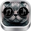 Animal SMS Ringtone