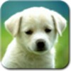Animal Sounds & Ringtones