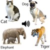 Animal Sounds-Kids Game