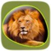 Animals 360