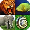 Animals Encyclopedia