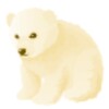 Animals For Toddler