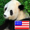 Animals In English