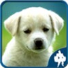 Animals Jigsaw Puzzles